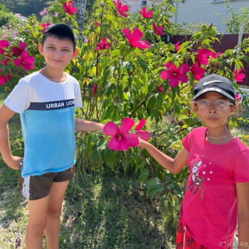 Юля - 8 лет, Санкт-Петербург - image.jpg