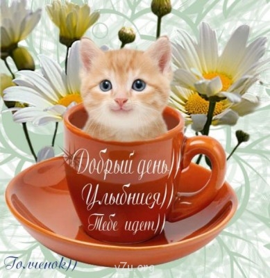 Генератор хорошего настроения - 79.jpg