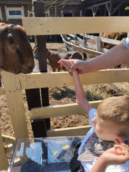 Дети с опорно-двигательным - image.jpg