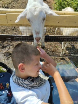 Дети с опорно-двигательным - image.jpg