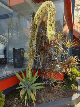 Все будет хорошо  - IMG_20250813_110343845_HDR.jpg