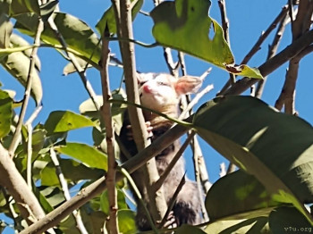 Все будет хорошо  - IMG_20250810_084933324.jpg