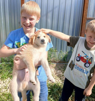 Артур - 9 лет, Владимирская обл. - image.jpg