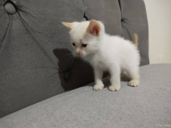 Все будет хорошо  - IMG_20250907_183436082.jpg