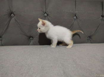 Все будет хорошо  - IMG_20250907_183910236_BURST000_COVER.jpg