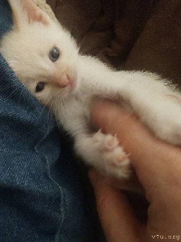 Все будет хорошо  - IMG_20250908_120038909_BURST006~2.jpg