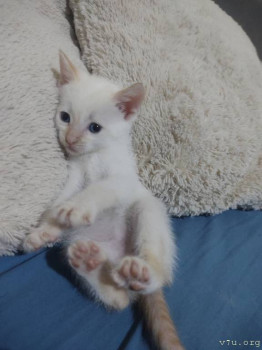 Все будет хорошо  - IMG_20250909_181031325_BURST000_COVER.jpg