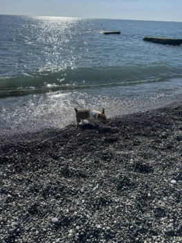 : - об отдыхе на море ;  - IMG_4768.jpeg