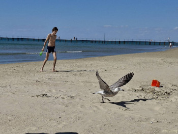 : - об отдыхе на море ;  - 20250913_132107.jpg