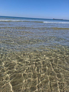 : - об отдыхе на море ;  - 20250915_111652.jpg