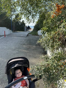 : - об отдыхе на море ;  - image-11-09-25-06-41.jpeg