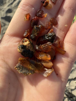 : - об отдыхе на море ;  - image-11-09-25-06-41-3.jpeg