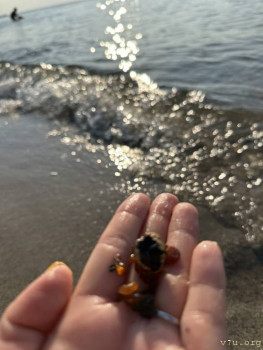 : - об отдыхе на море ;  - image-11-09-25-06-41-6.jpeg