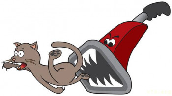 Наши любимые домашние питомцы - 360_F_98412961_COn6N2FLUs9KRIbvHuigtOiz5B2H3cr5.jpg