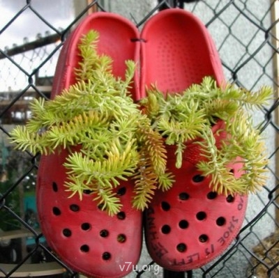 Украшения для участка - 148.jpg