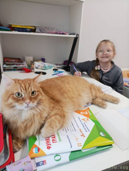 Наши любимые домашние питомцы - IMG_20250921_143015.jpg