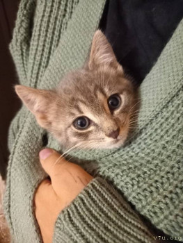 Вот такие уже, подросли