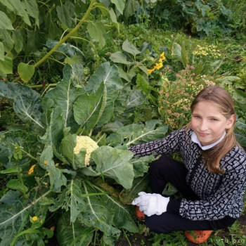 Из одной семьи - двое с полным статусом  - image.jpg