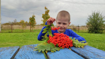 Савушка - 7 лет, Вологодская обл. - image.jpg