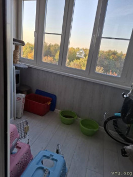 Котолоджия.<br />Здесь куны моют лапы.<br />А пьют из человечьих чашек' заботливо расставленных сыном по дому.<br />Красный-горшок.<br />Убираем утром и вечером.