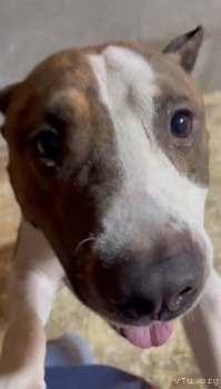 Четыре сыночка без лапочки дочки пока 128513;  - IMG_3111.jpeg