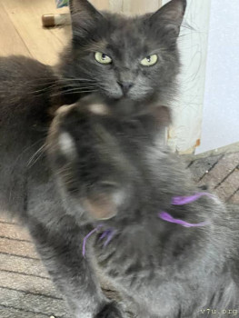 Четыре сыночка без лапочки дочки пока 128513;  - IMG_1565.jpeg