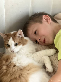 Четыре сыночка без лапочки дочки пока 128513;  - IMG_1613.jpeg