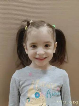 Четверо из Питера - image.jpg