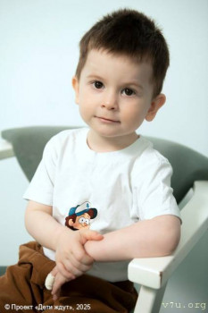 Четверо из Питера - image.jpg