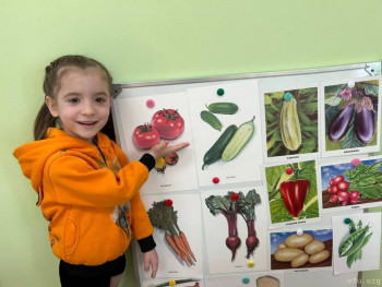 Четверо из Питера - image.jpg