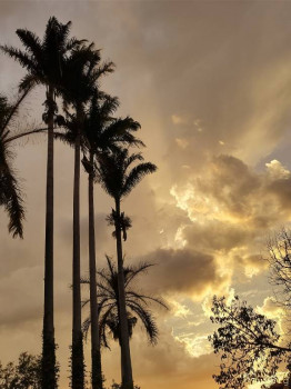 Все будет хорошо  - IMG_20251104_181901375_HDR.jpg