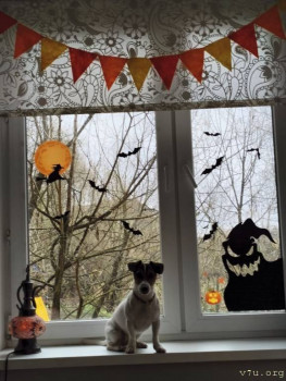 Второй раз в ту же реку  - IMG_20251105_195318_025.jpg