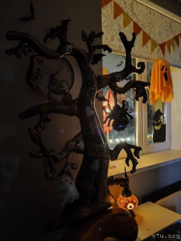 Второй раз в ту же реку  - IMG_20251105_195322_369.jpg