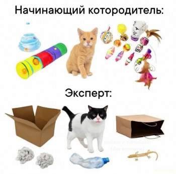 Юмор - IMG_20251111_134746_855.jpg