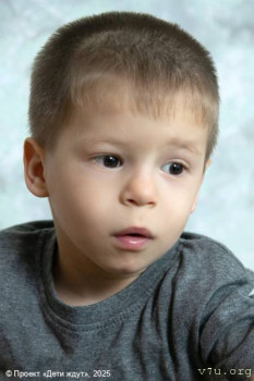 3В - Витя, Вова, Влад - image.jpg