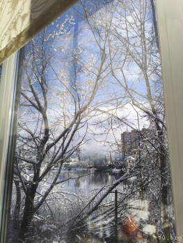 Второй раз в ту же реку  - IMG_20251115_131548.jpg