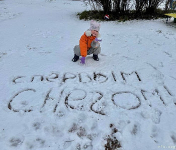 Четверо из Питера - image.jpg