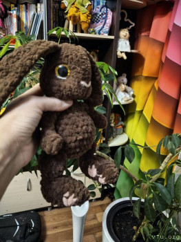 И снова про Белку  - IMG20251121023040.jpg