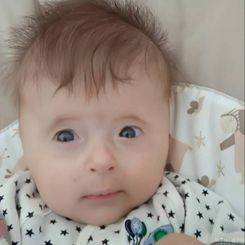 Игорёк - 2 года, Сахалинская обл. - image.jpg