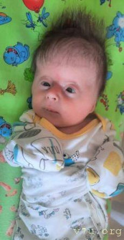 Игорёк - 2 года, Сахалинская обл. - image.jpg