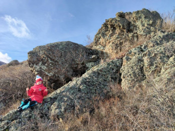 И снова про Белку  - IMG20251130135800_BURST008.jpg