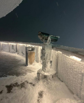 И снова про Белку  - IMG_20251130_152358.jpg