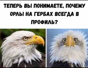 Юмор - upload_2025_12_04_18_35_08_956.jpg