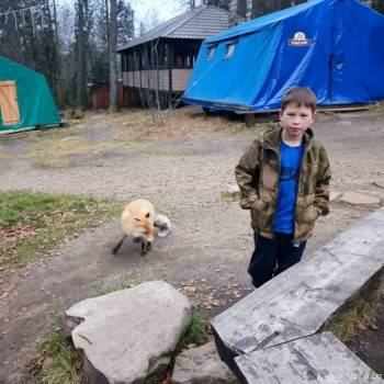 Даша, Дима и Виталик - Челябинская обл. - image.jpg