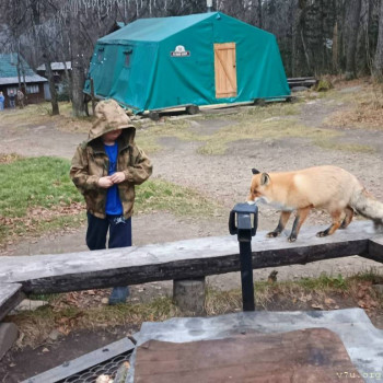 Даша, Дима и Виталик - Челябинская обл. - image.jpg