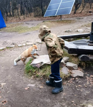 Даша, Дима и Виталик - Челябинская обл. - image.jpg