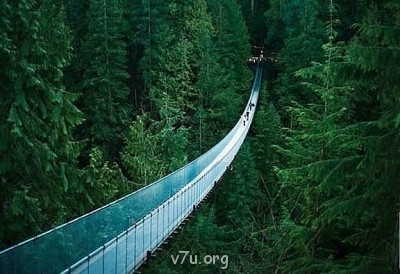 Удивительное рядом - Висячий мост Капилана, Ванкувер. Канада.jpg