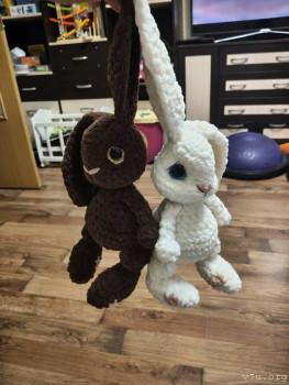 И снова про Белку  - IMG20251213015030.jpg