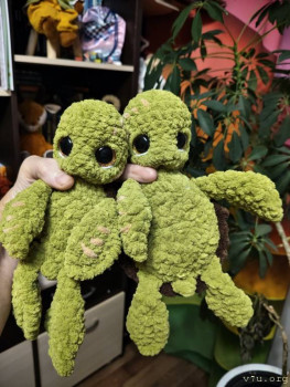 И снова про Белку  - IMG20251216065831.jpg