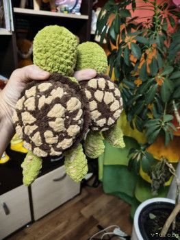 И снова про Белку  - IMG20251216065842.jpg